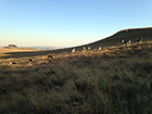 img01